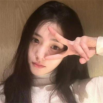 鲨与鲸